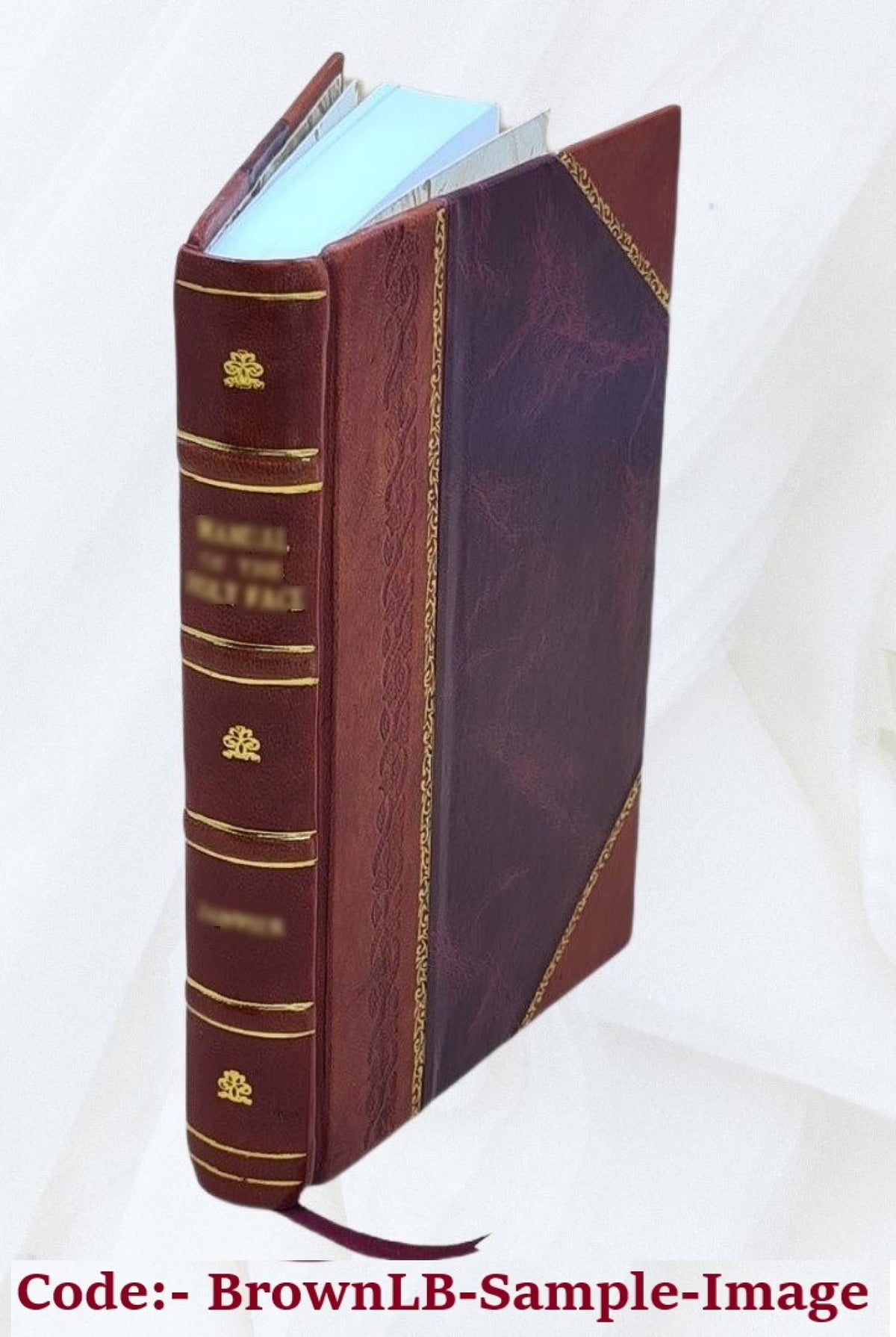 Rejected Addresses: Or, The New Theatrum Poetarum 1888 Leather Bound N828