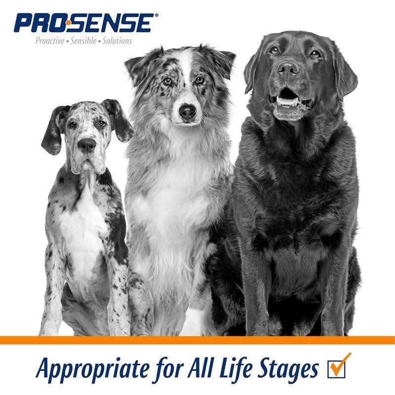 Chewable Vitamin Solutions Pet Supplies I480959