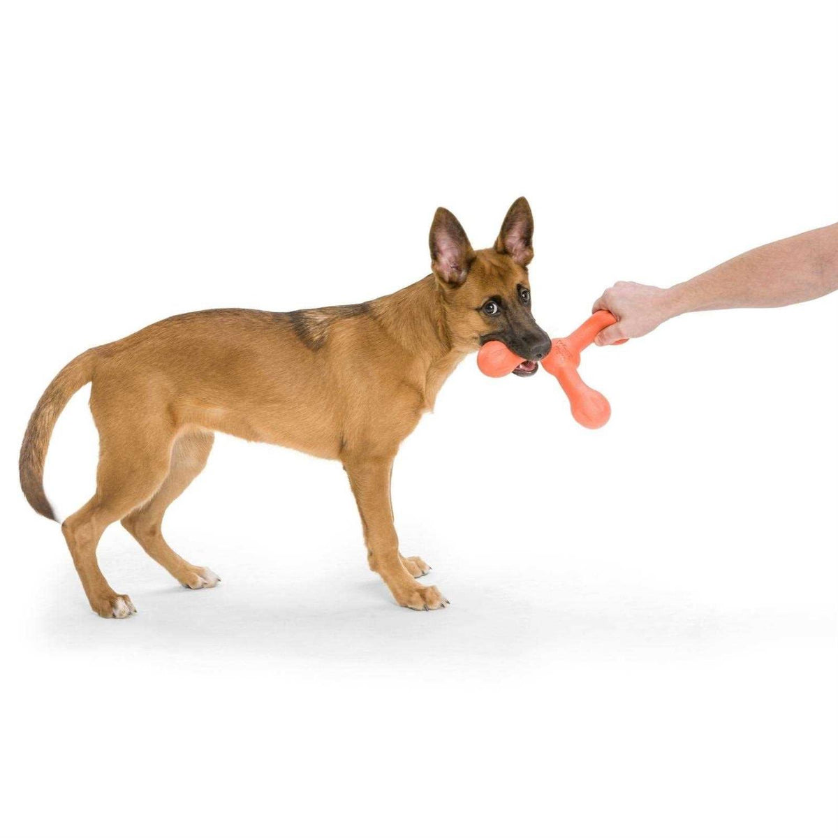 Dog Toy O189