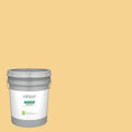 Eggshell Interior Paint (5-Gallon) Q22382