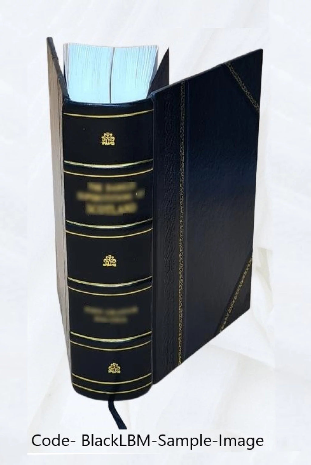 Alcohol Production Chemistry and Industrial Applications Leather Bound C204542