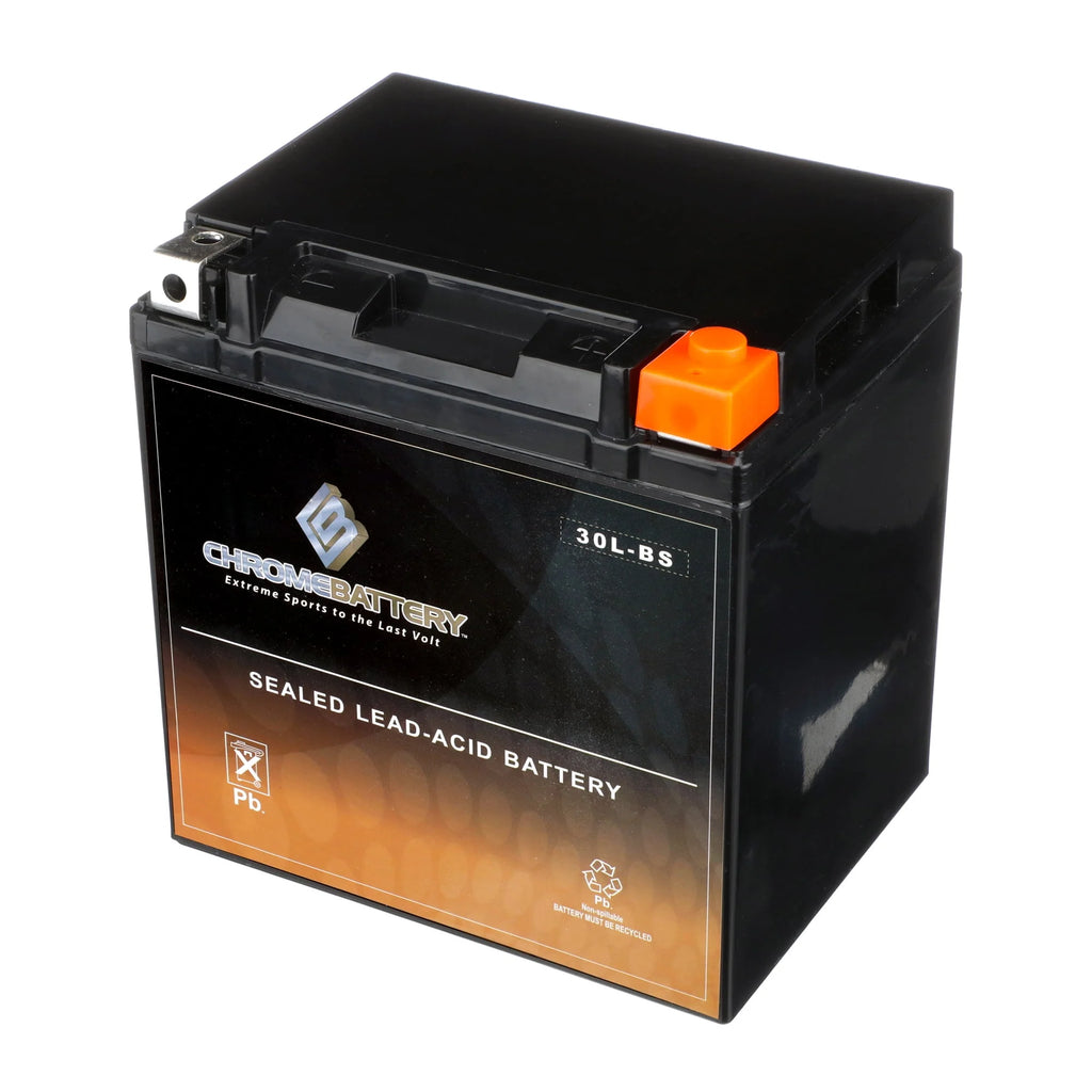 Ytx30L-Bs Battery A136398