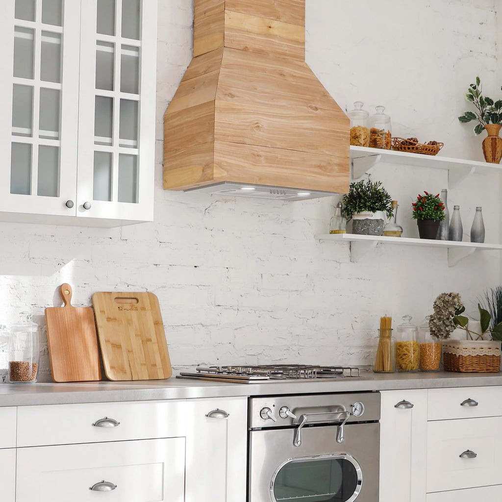 20 inch 450 CFM Stainless Steel Insert Range Hood X1408
