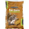 Squirrels Ear Corn Cobs Z431
