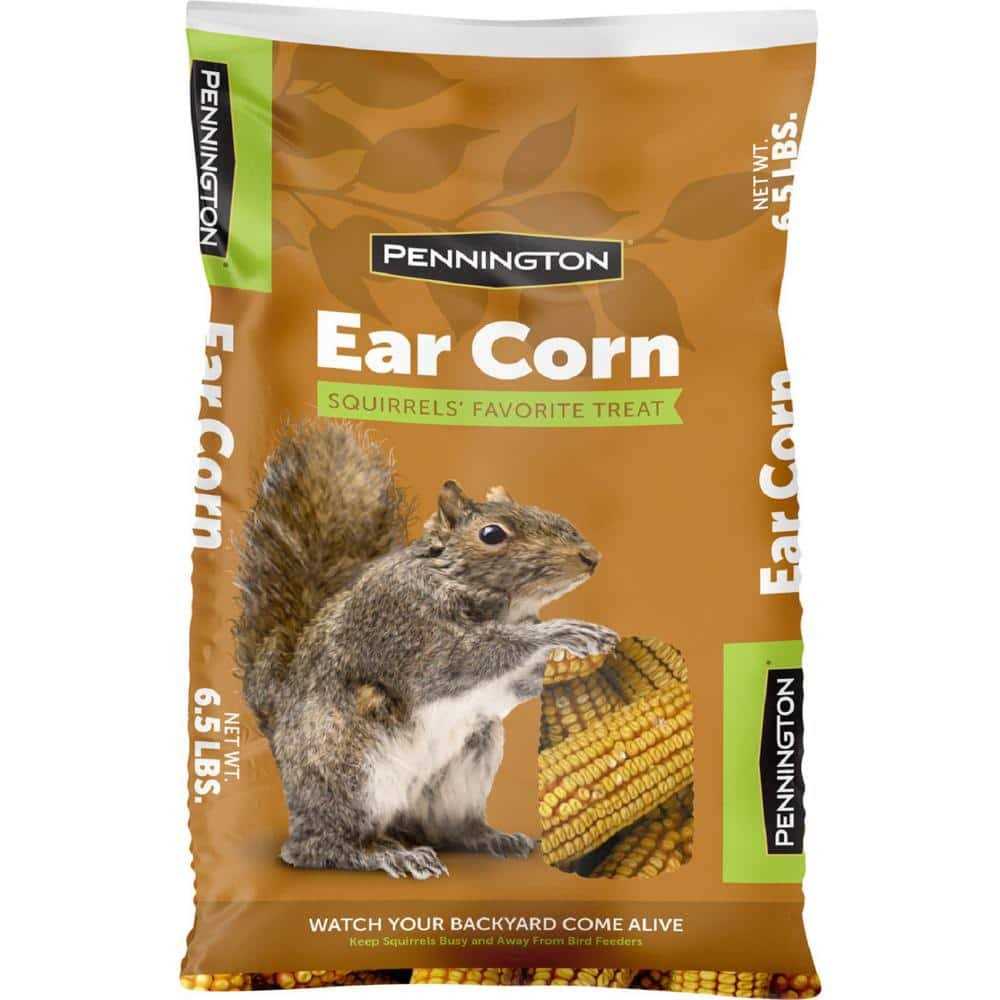 Squirrels Ear Corn Cobs Z431