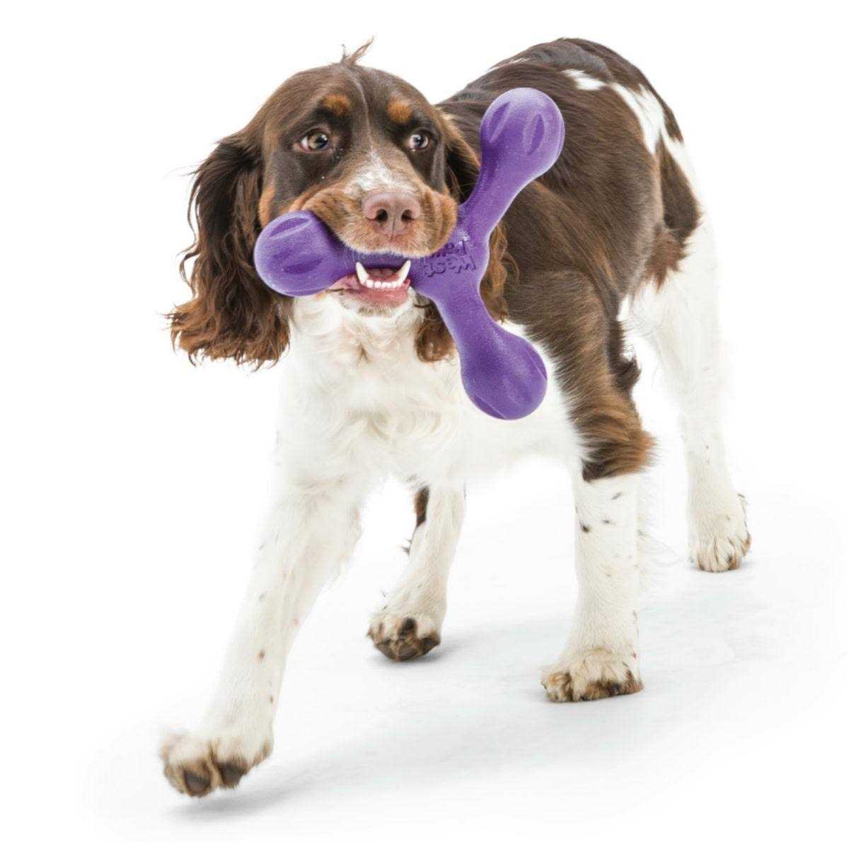 Dog Toy O189
