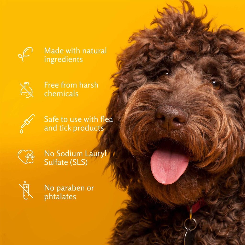 Deodorizing Pet Shampoo Z242