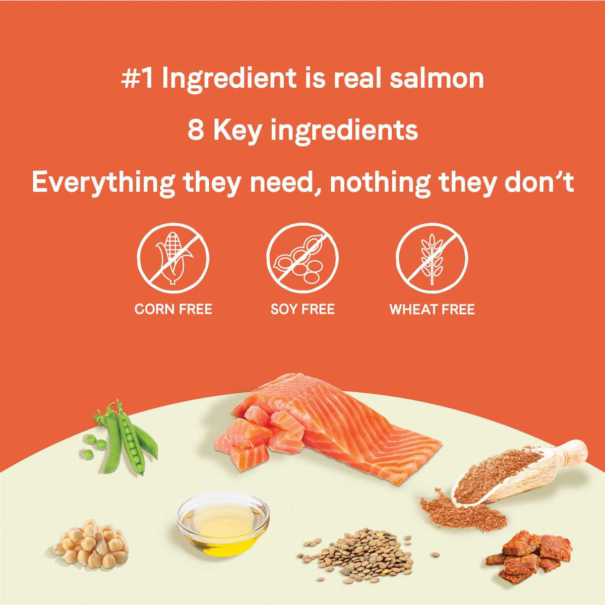 Salmon Small Breed Puppy Dry Dog Food G1620