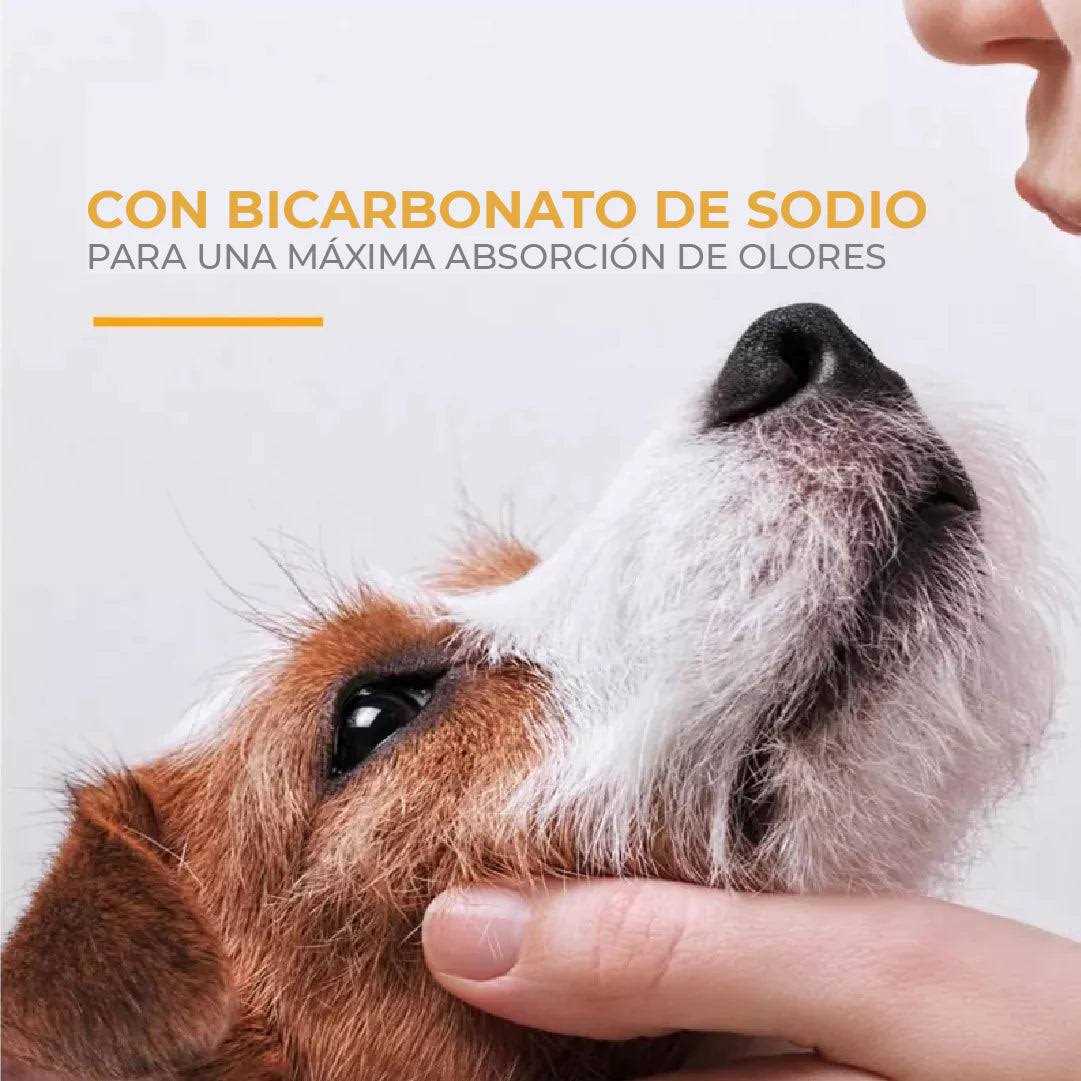 Deodorizing Pet Shampoo Z242