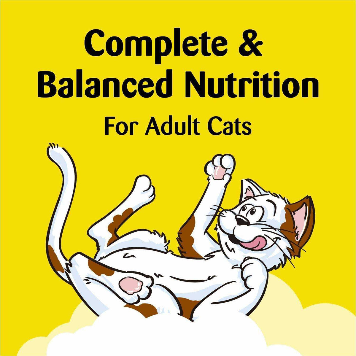 Seafood Medley Cat Treats Y4656