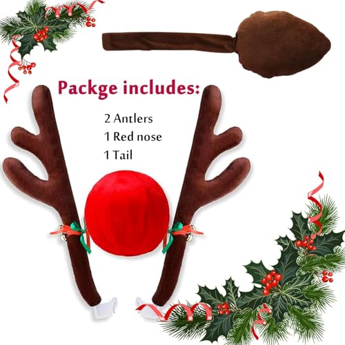 Car Reindeer Antlers with Red Nose & Tail S369954