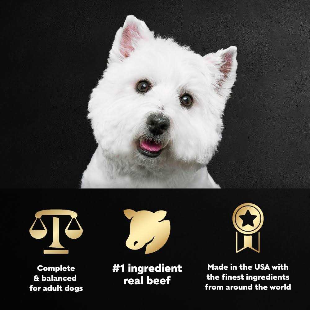 Wet Dog Food Variety Pack C2975