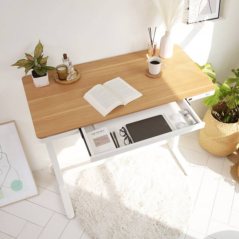 Electric Height Adjustable Standing Desk with Drawer 48 x 24 Inches Red Oak Desktop White Frame U895