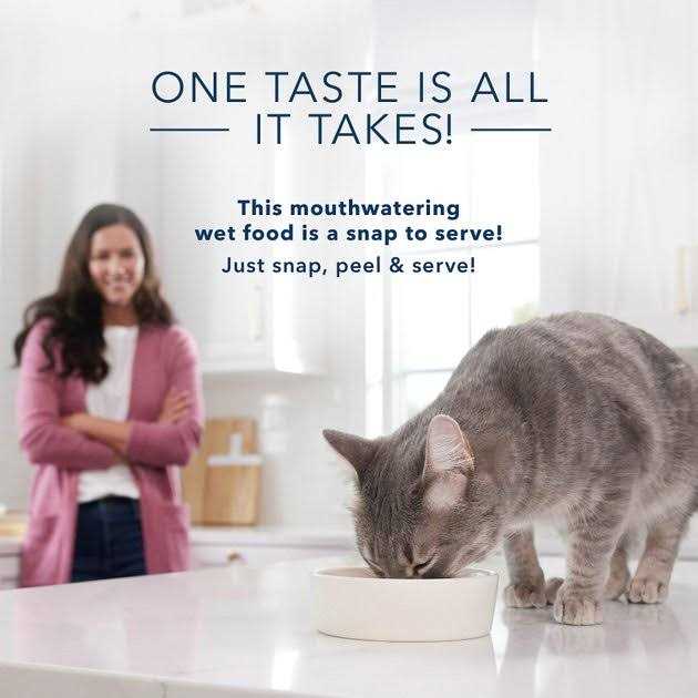 Adult Cuts in Gravy Wet Cat Food Y335287