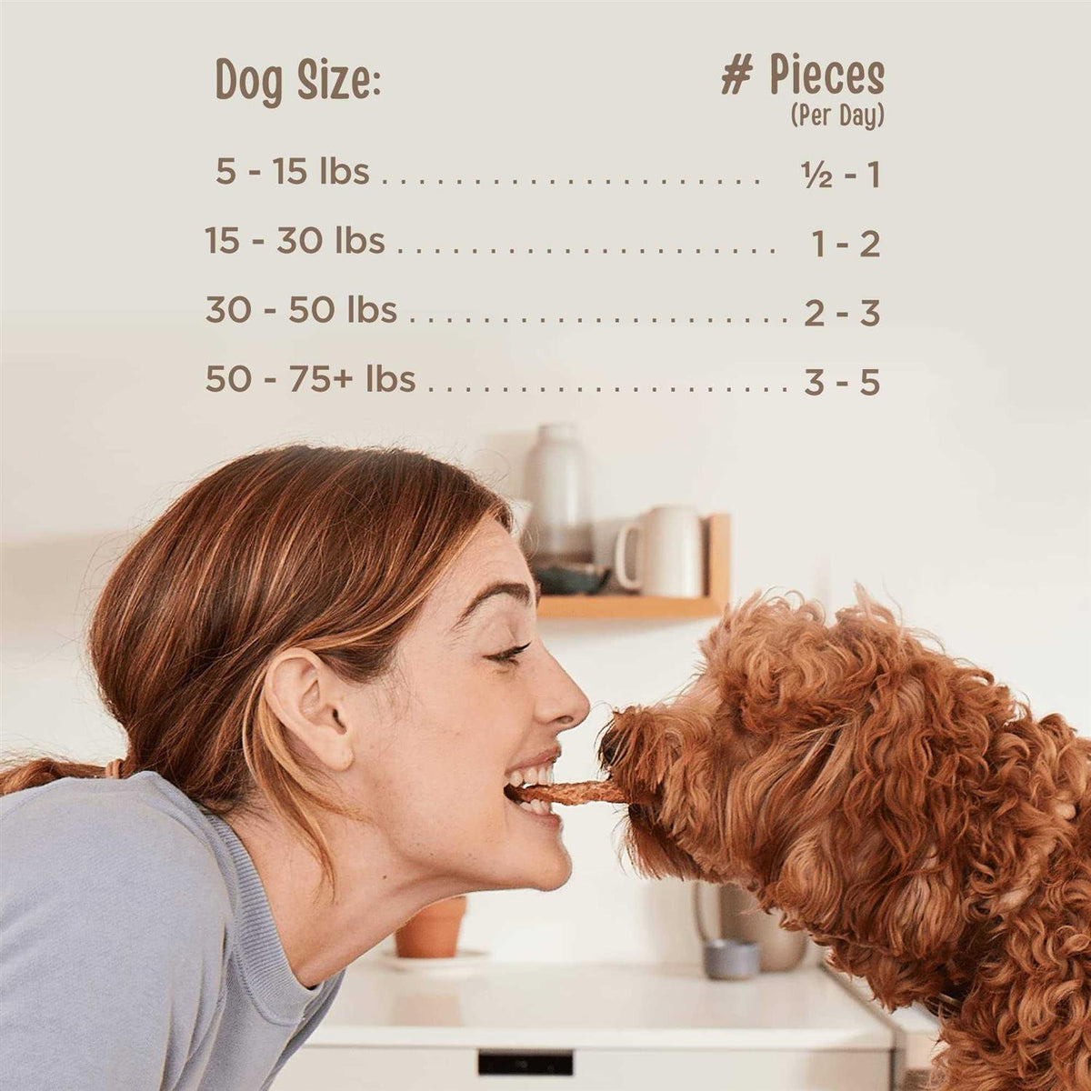 Beef Jerky Dog Treats V87844