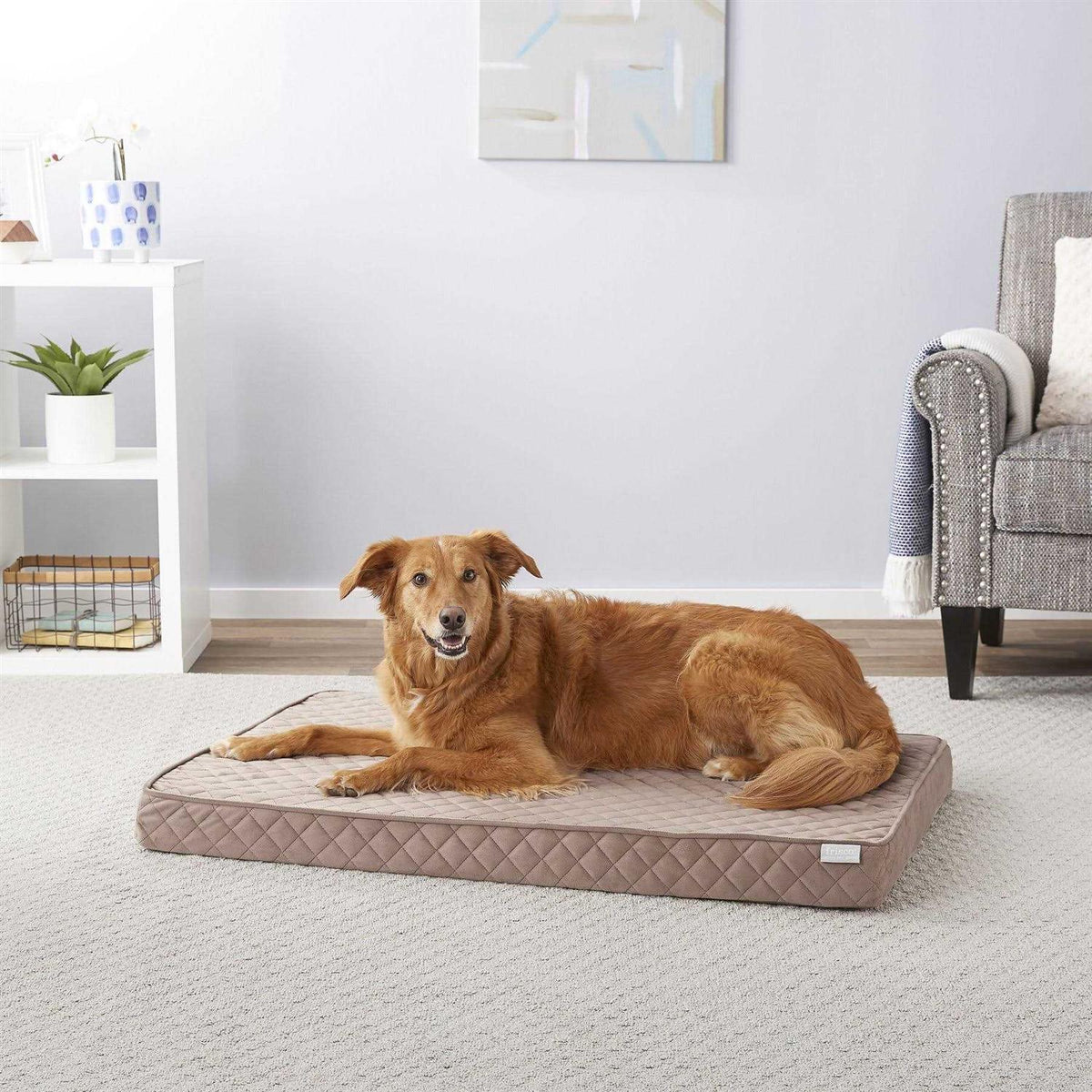 Quilted Orthopedic Cat Dog Bed with Removable Cover O81772